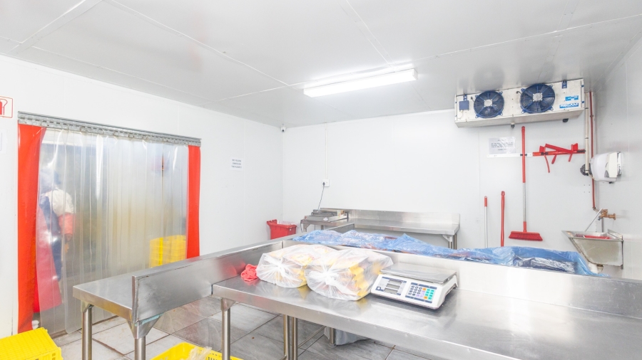 Commercial Property for Sale in Triangle Farm Western Cape